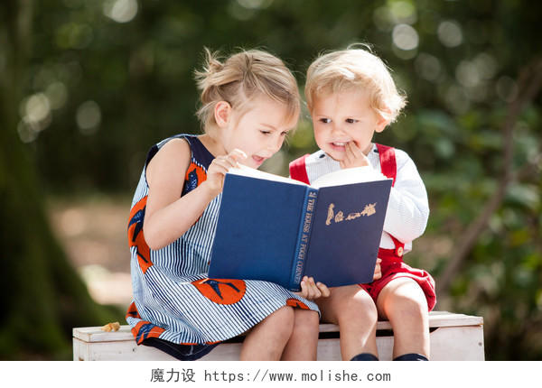 树林里的孩子在看书